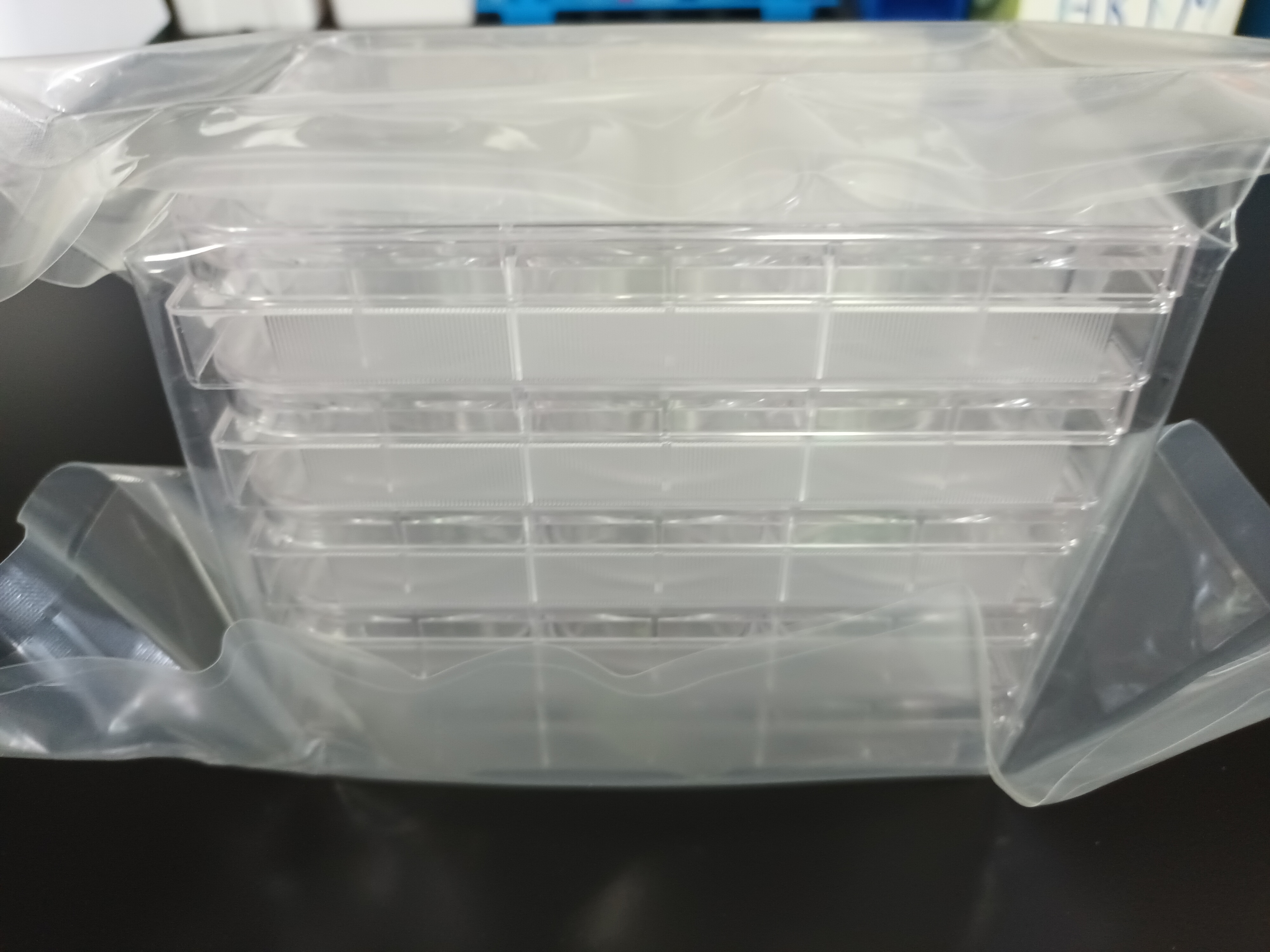 Corning CellBIND 6-well Culture plate